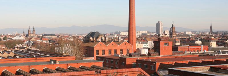 Rapp Catherine banner