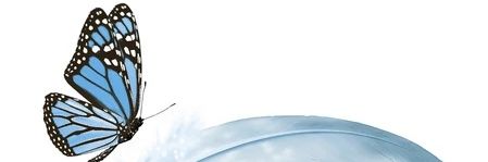 b_teresaa's profile banner image