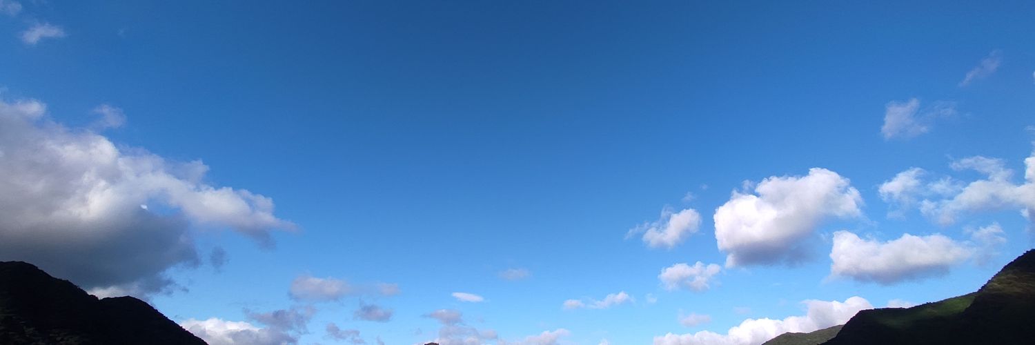 No.00826Oc(number-な.826.pa-fu-mu) banner