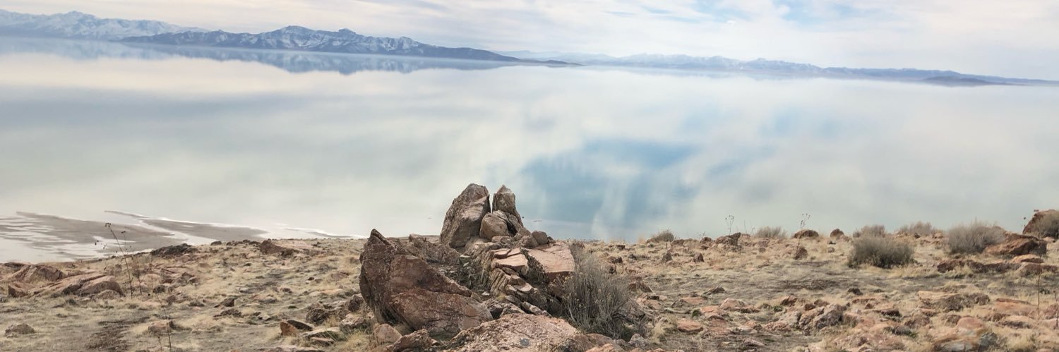 selectiveecho banner