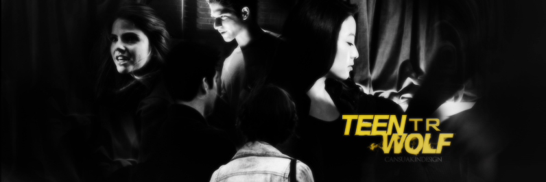 tw_turkeyfans's profile banner image