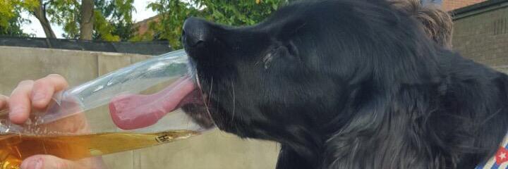 Gary Simmonds banner