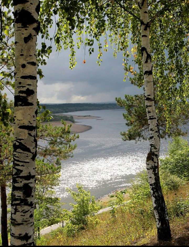 apegankina's profile banner image