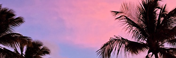 SamNv_'s profile banner image