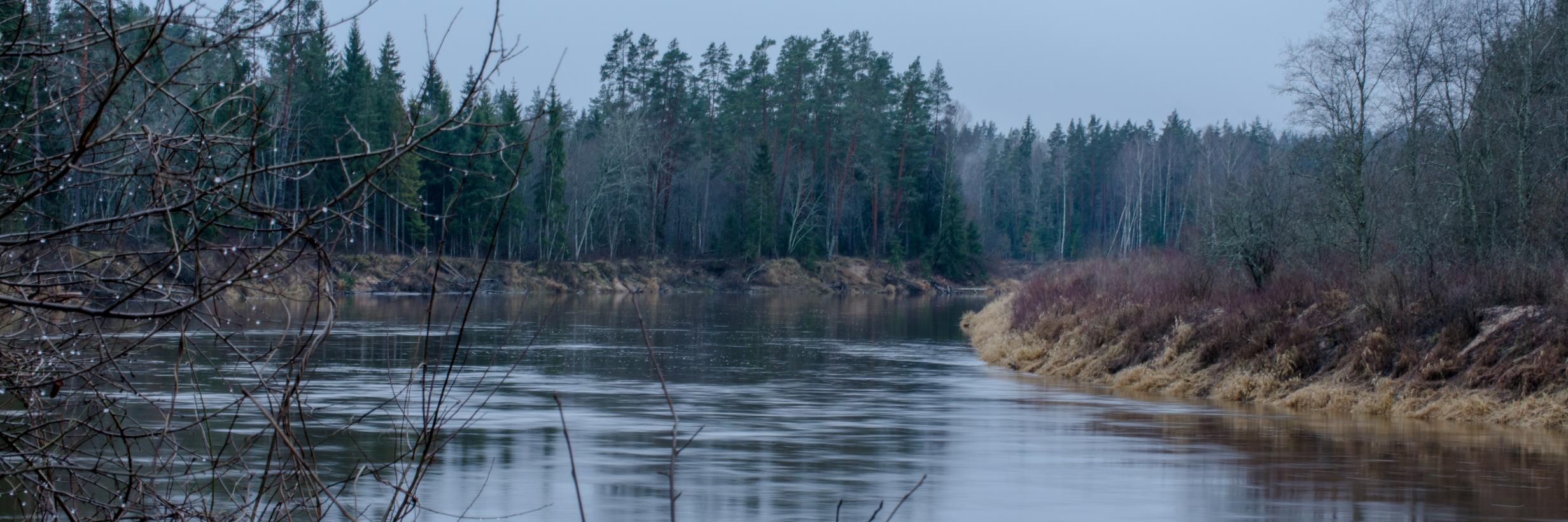 baltums's profile banner image