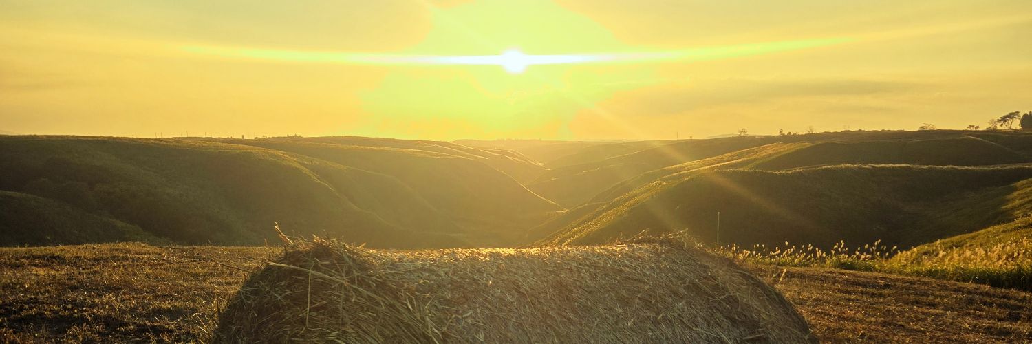 suunico's profile banner image
