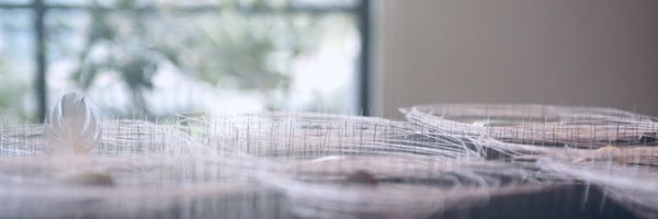 noanoadreams Profile Banner