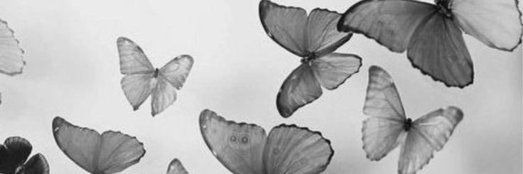 hazll_'s profile banner image