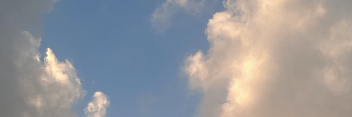 _N_Alg's profile banner image