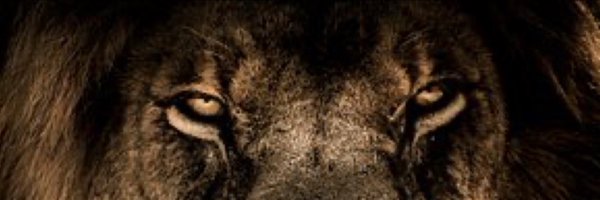 DEMOCRACYDENNIS Profile Banner