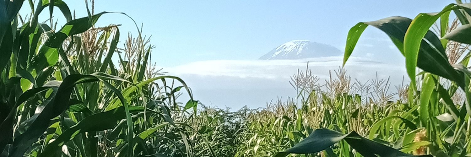 lloraa_pe's profile banner image