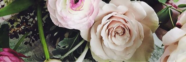 blanknieves's profile banner image