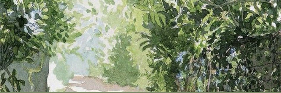 Ana⁷ (ꪜ )| banner