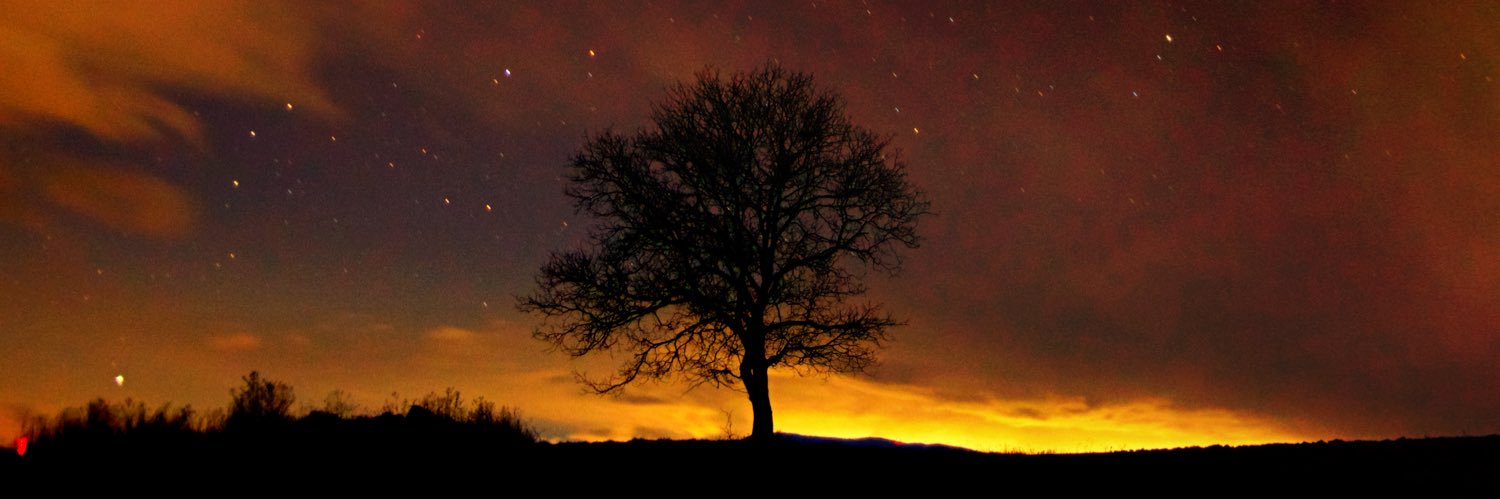 Satoshi Photography banner