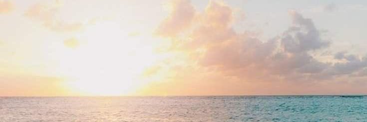 farifoxxx's profile banner image