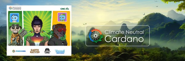 BeadaPool Profile Banner