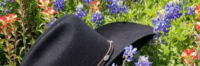 Janet Lambert banner
