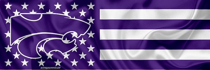 The Great Timtini banner