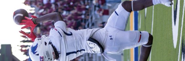 talandiscotton Profile Banner