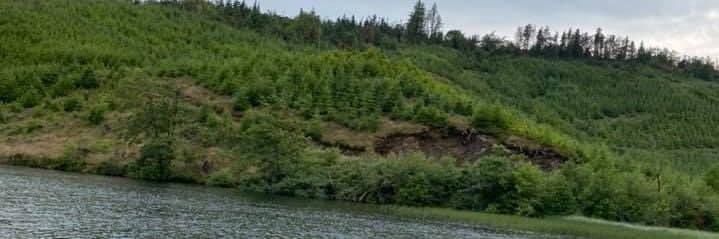 KatieNoell's profile banner image