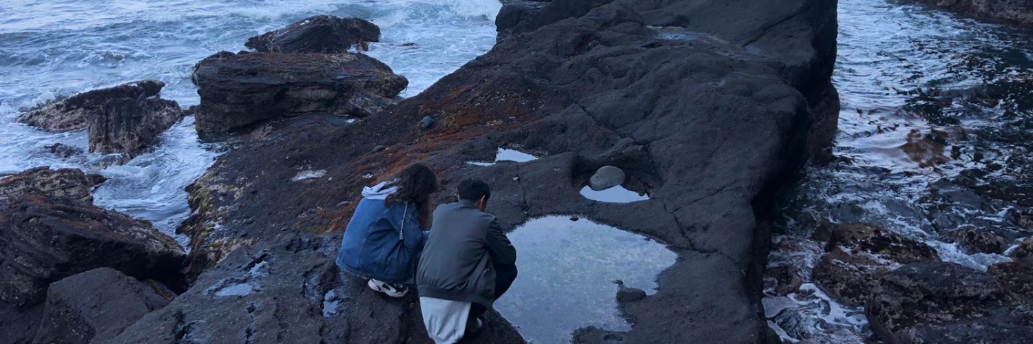 bakayama_'s profile banner image