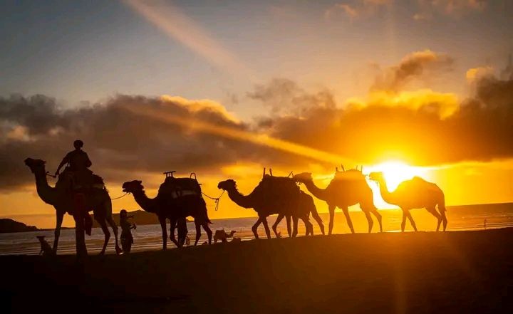 Zawadi_85's profile banner image