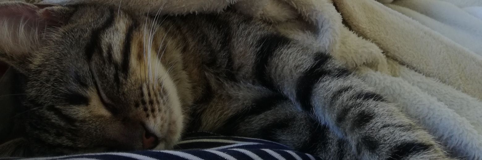 _clairounette_'s profile banner image