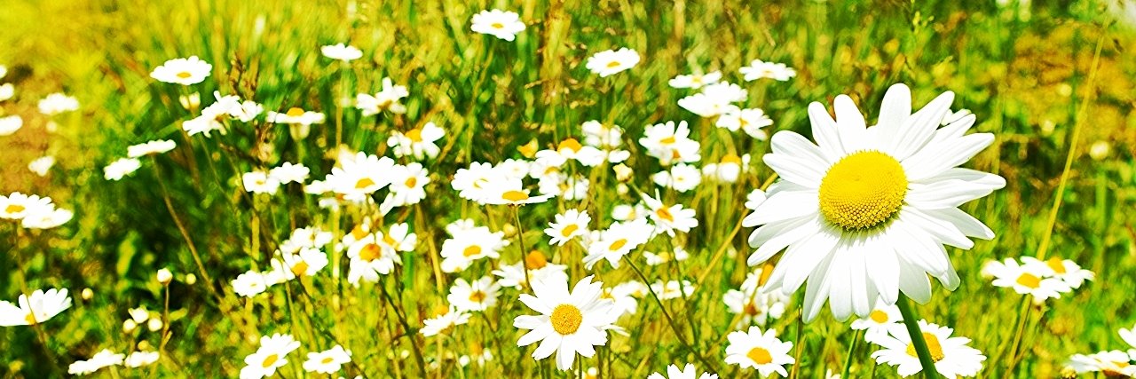 nuria_prat's profile banner image