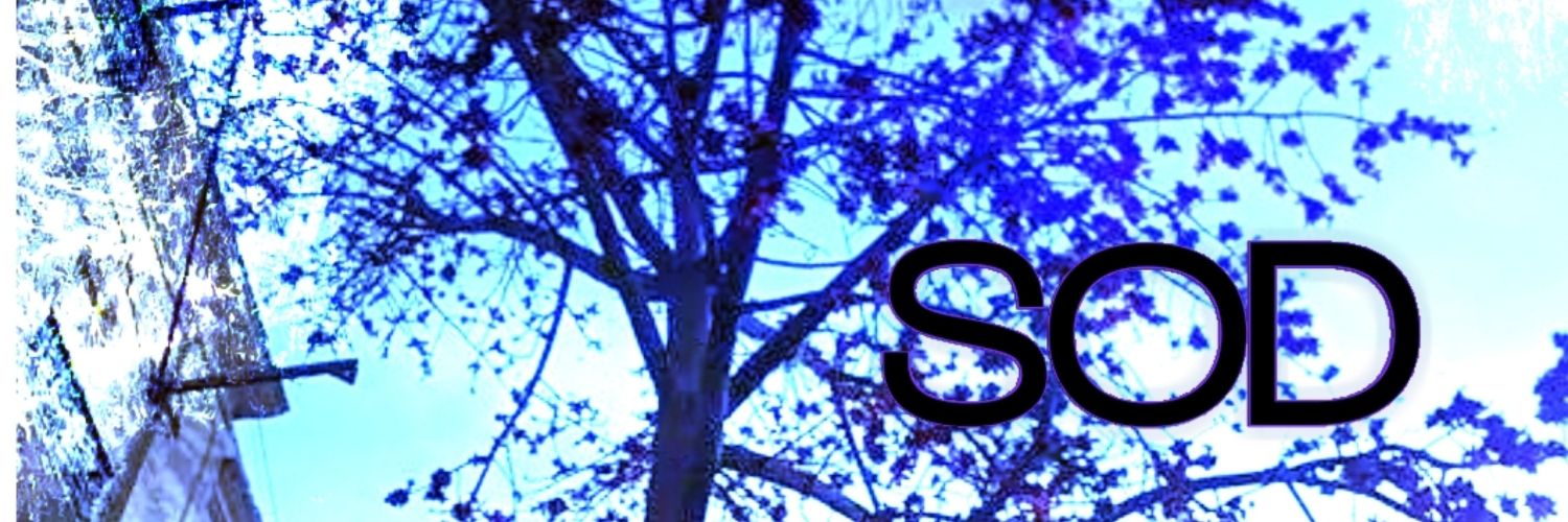 moonspell1979's profile banner image