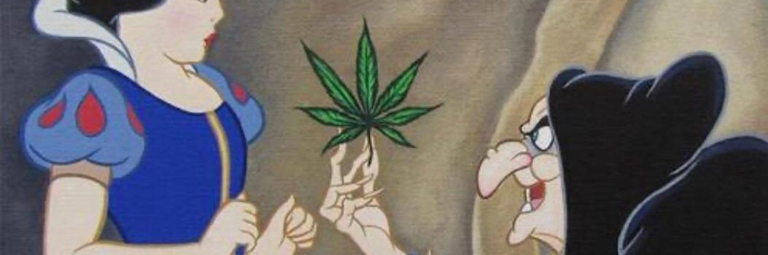 Wemy_stefane's profile banner image