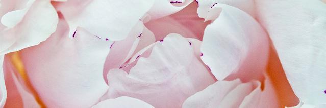 Haute_Paiute's profile banner image