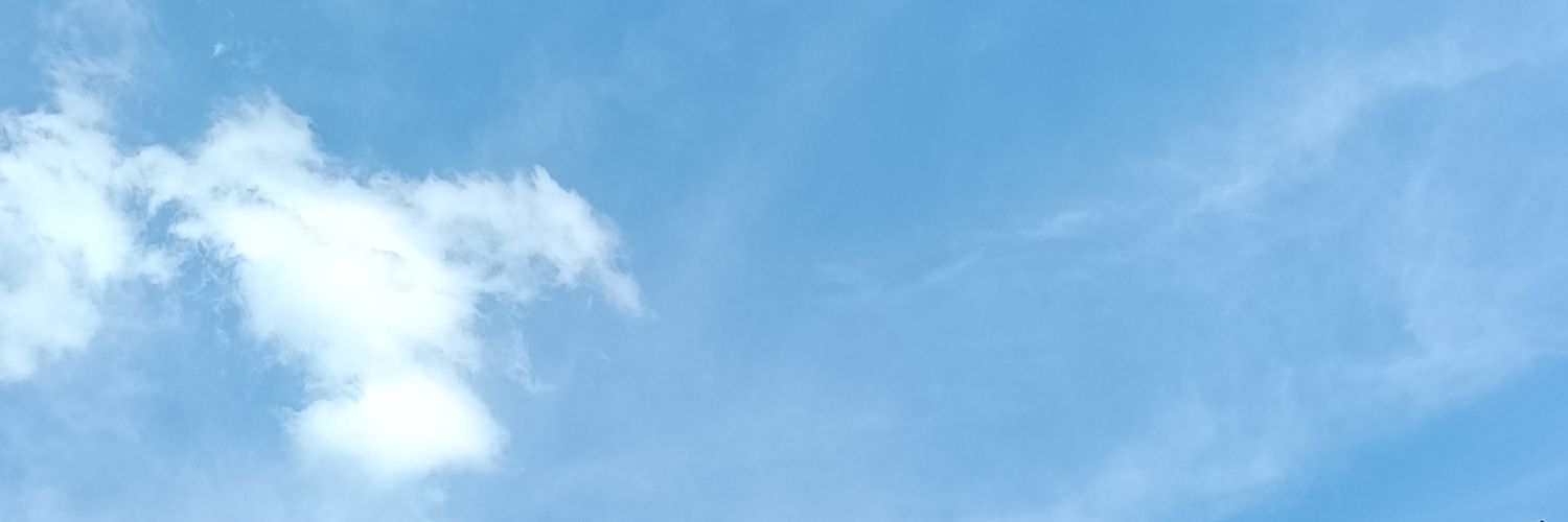 ravelllll banner