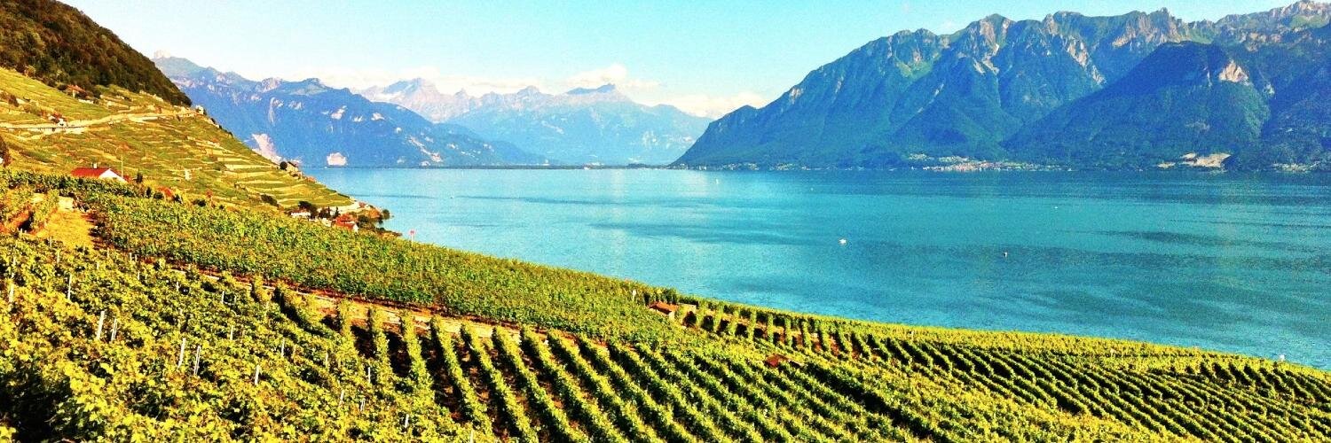 Carsten Buchenau banner