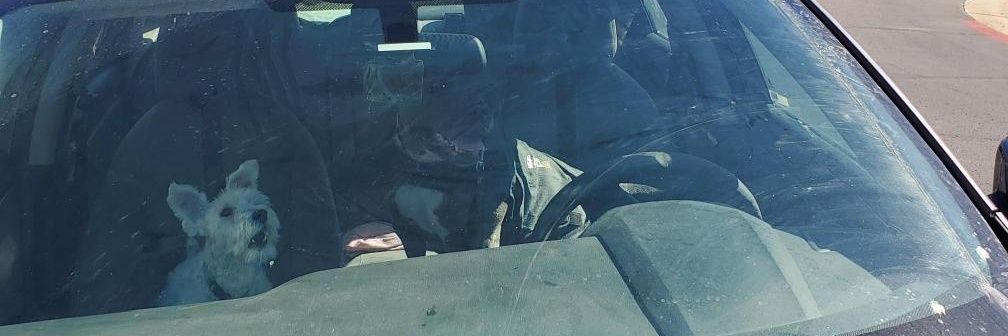 Marcel Dupree banner