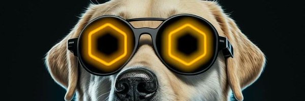 yObin_Crypto Profile Banner