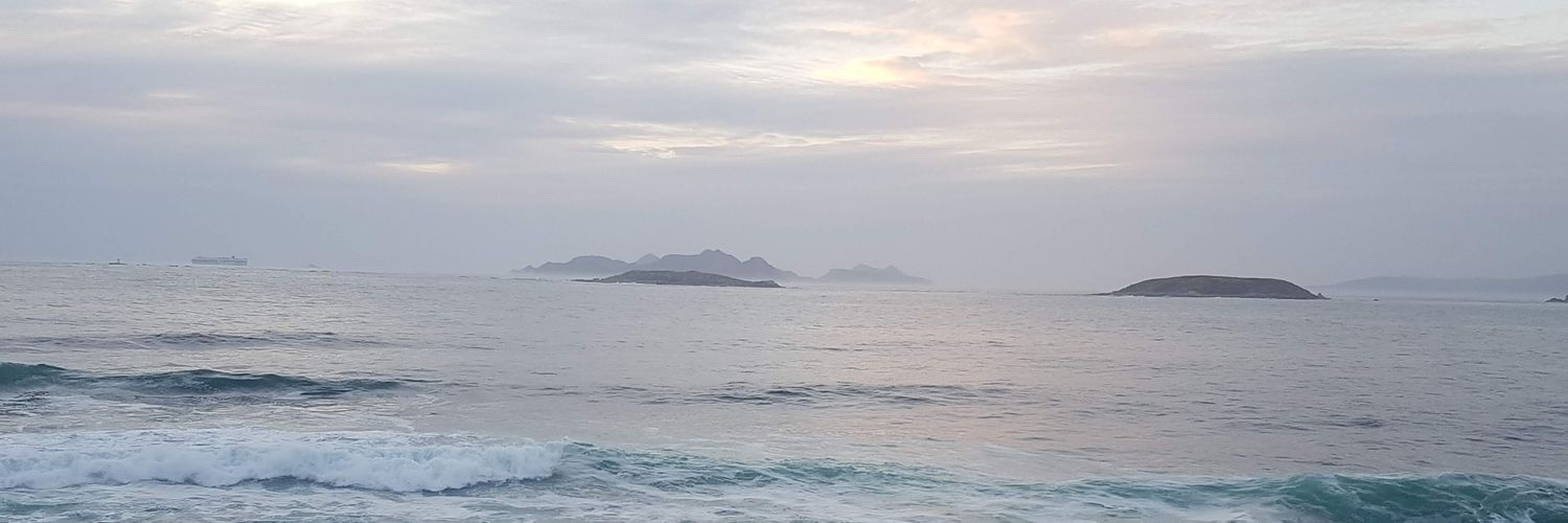mdurangoli's profile banner image