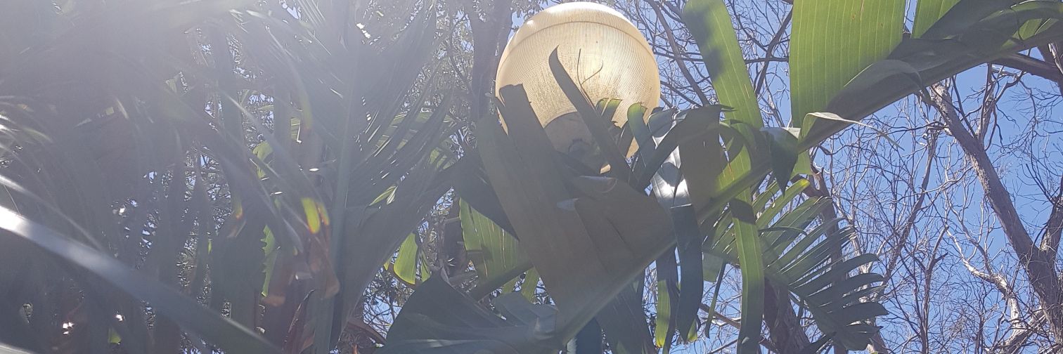 lisagillart's profile banner image