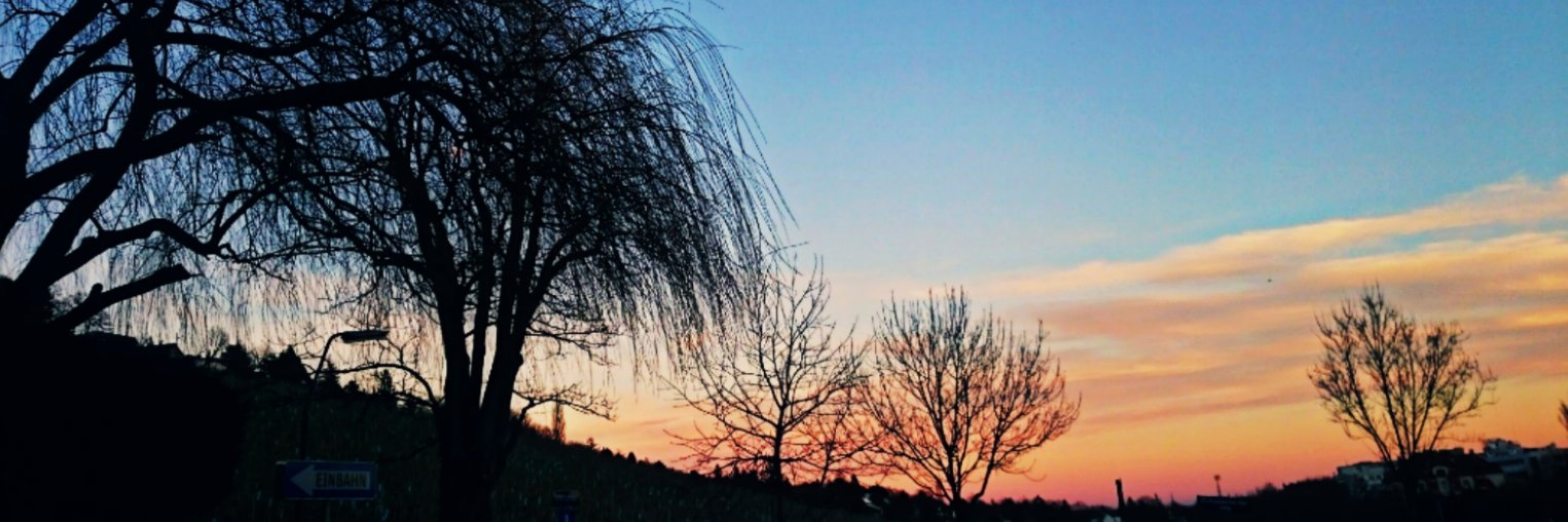 kat_kohl's profile banner image