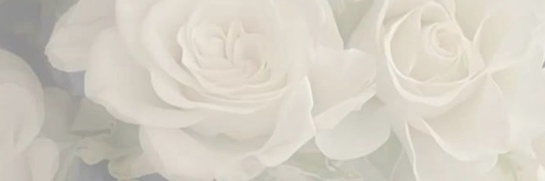 🧸🎀 banner