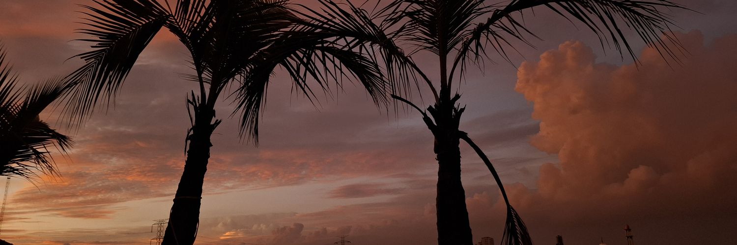 jequors's profile banner image