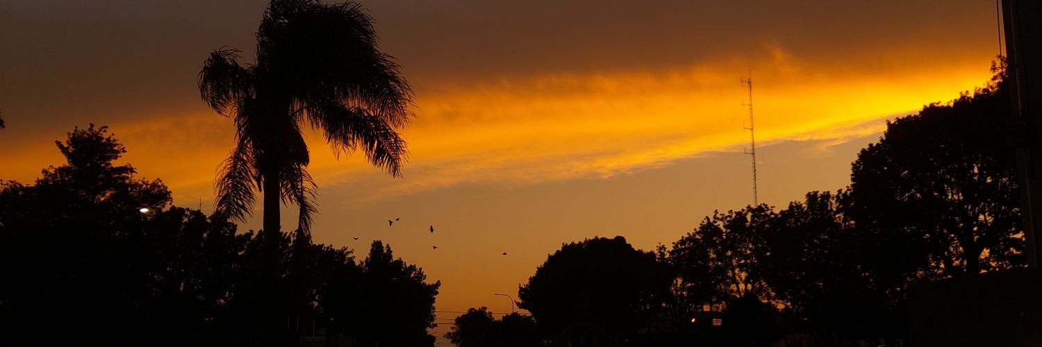 qpricila5's profile banner image