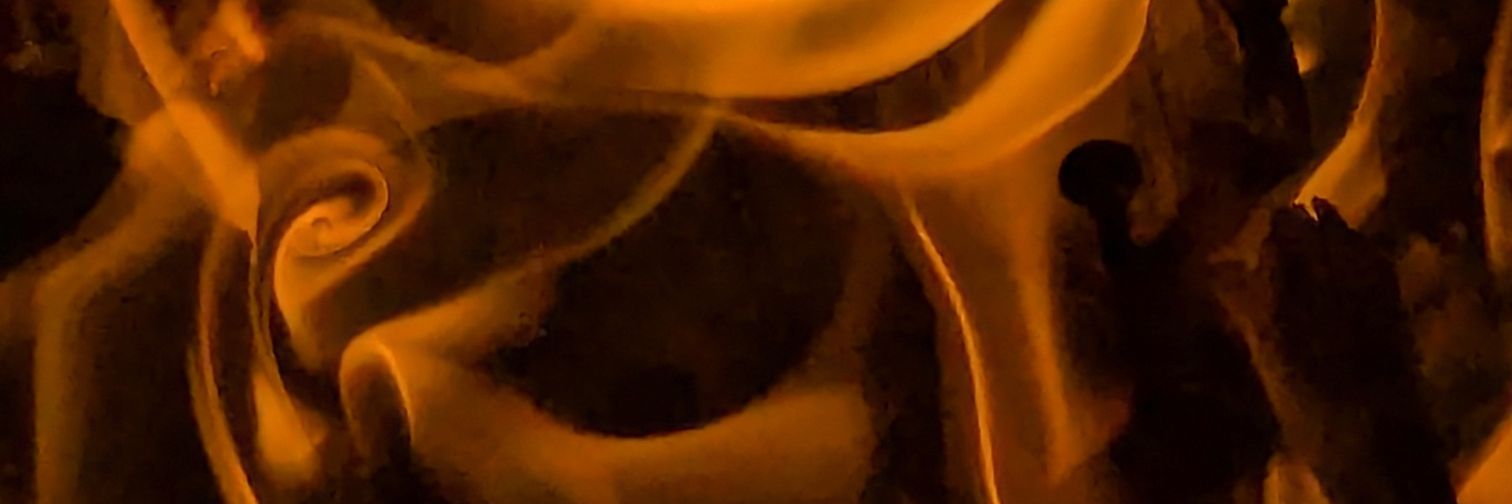 Susan Shelton banner