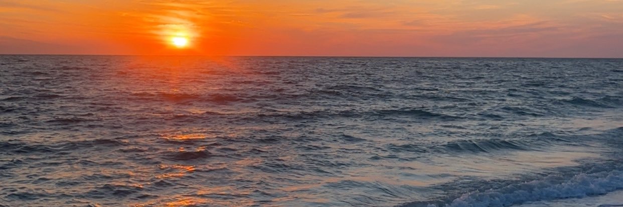 sydv_11's profile banner image
