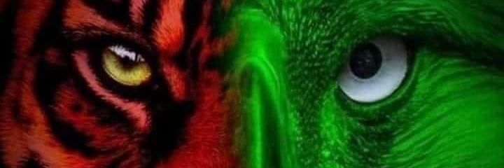 piscesfishda's profile banner image