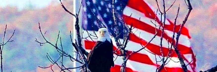 Sarah🇺🇸🍊 banner