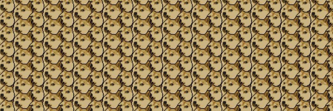 DOGE banner