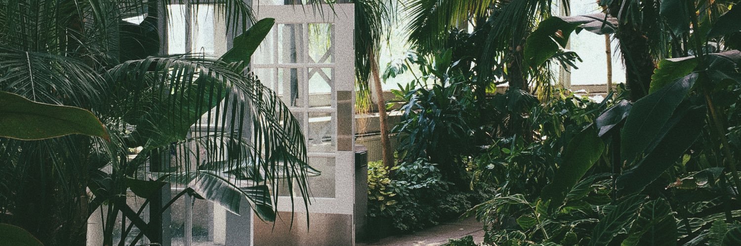 Jasmine banner