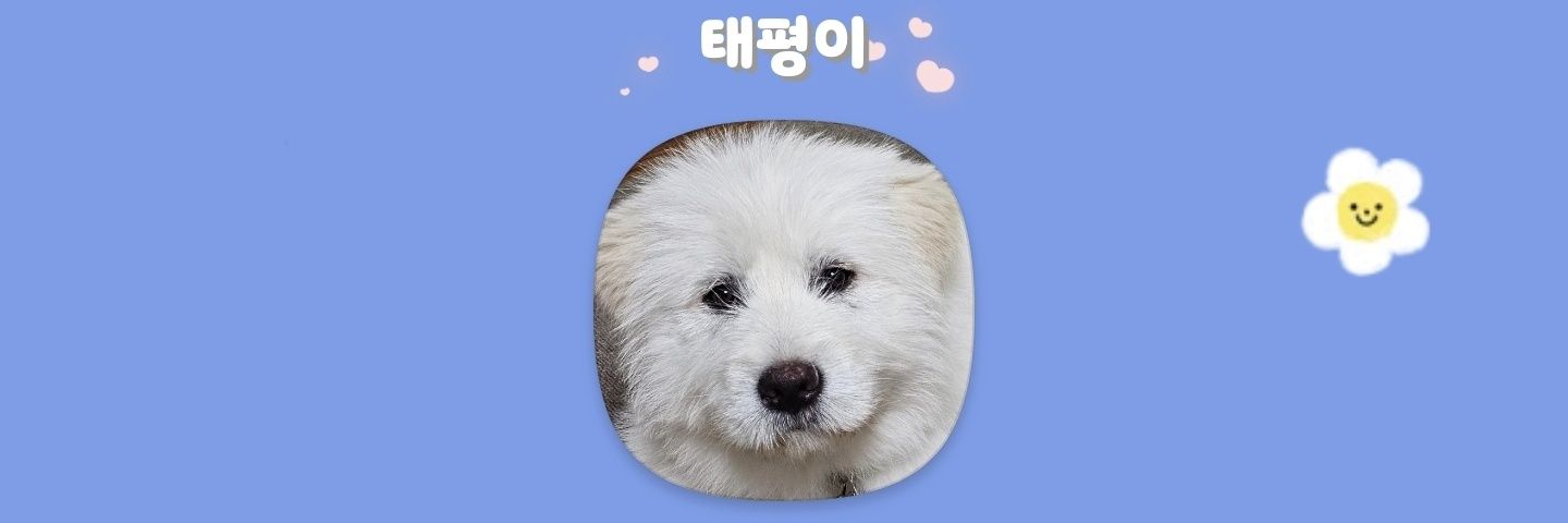 태평's banner