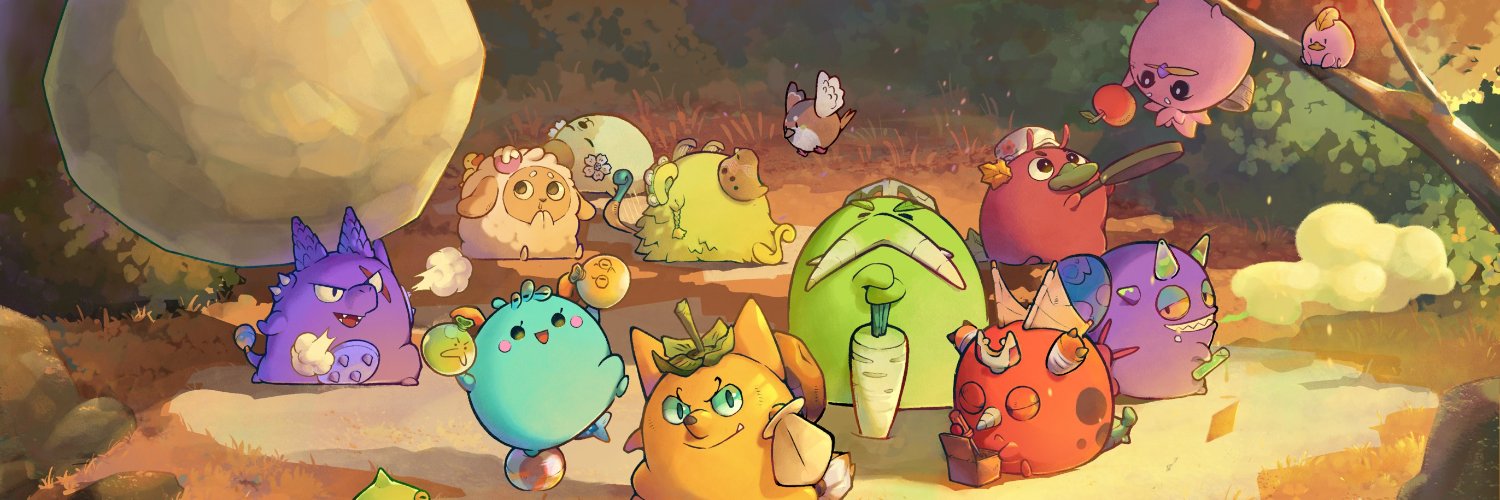 CriptoDxyz's profile banner image
