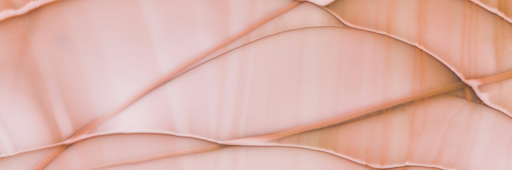 realideal's profile banner image